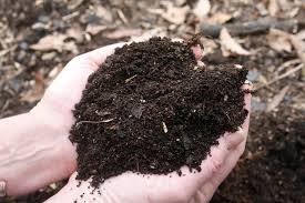 Image result for compost